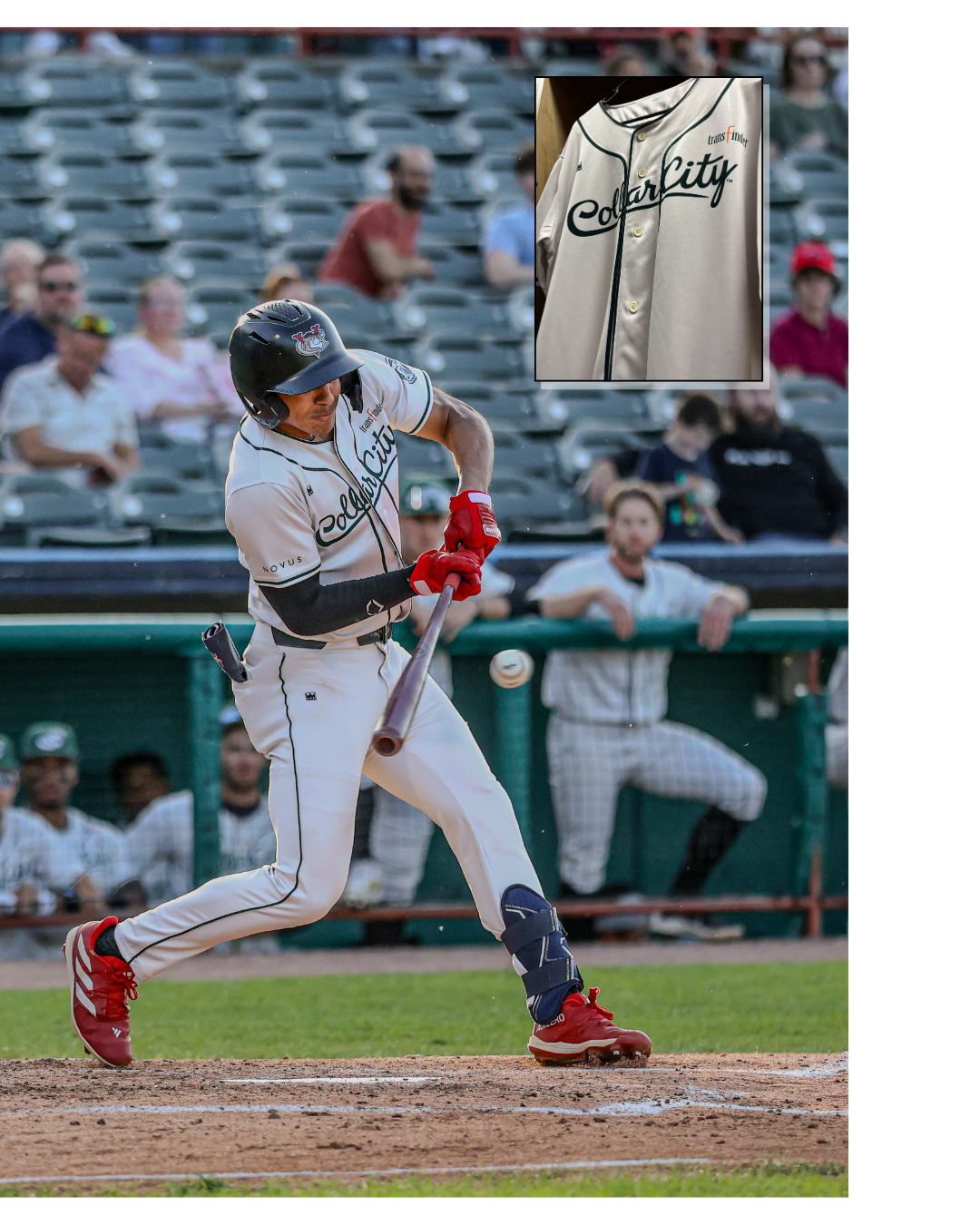 Collar City Cats Uniform Image