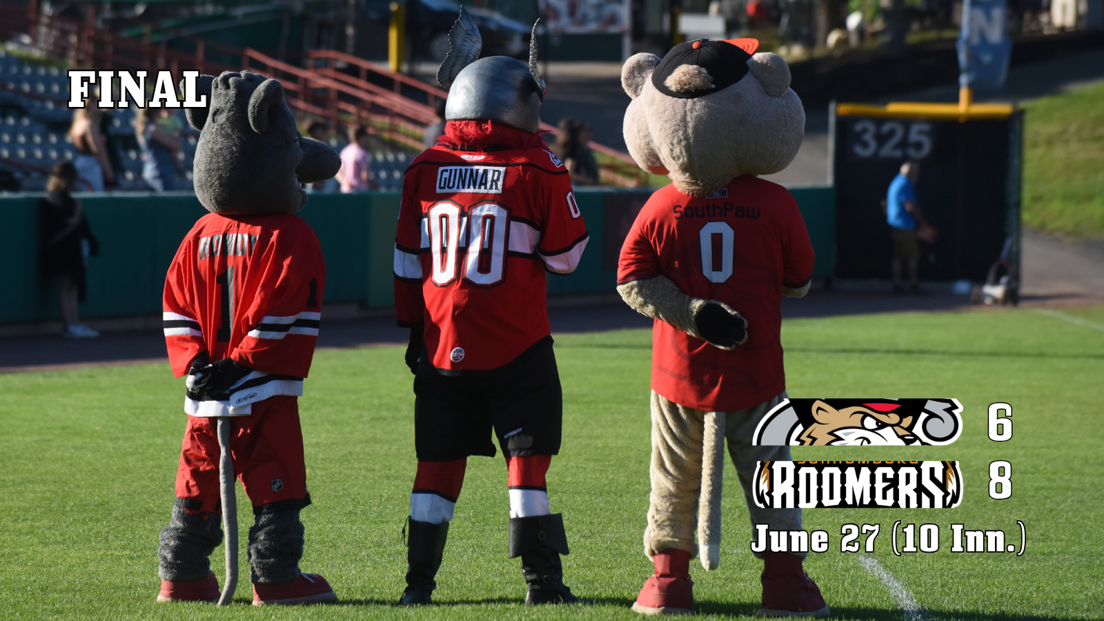 ValleyCats lose in 10 innings, 8-6, to Schaumburg
