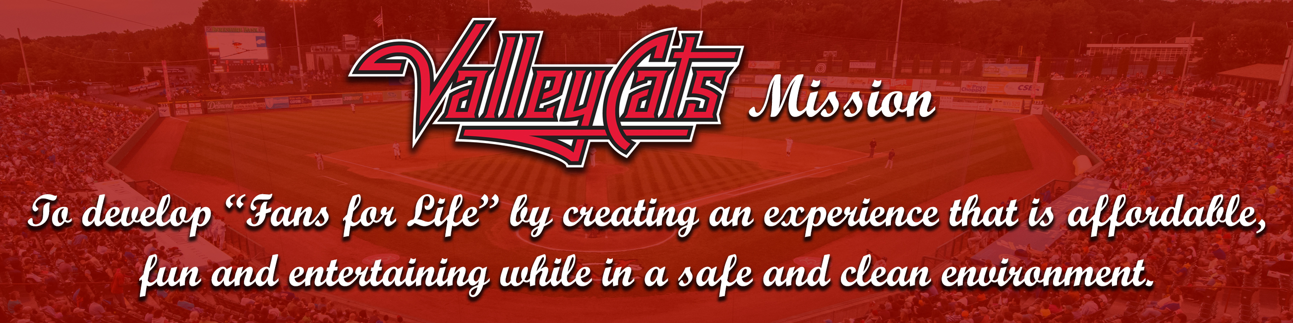 ValleyCats Mission